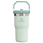 Stanley The IceFlow FlipStraw Tumbler Water Bottle 20 OZ In Mist Green