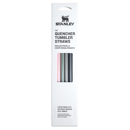Stanley Quencher Replacement Straws 30OZ Fall Multi Pack