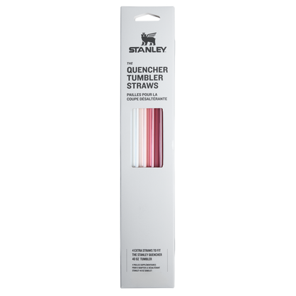 Stanley Quencher Replacement Straws 30OZ Fall Multi Pack